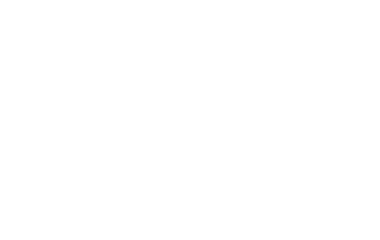 Elcaro Logo